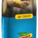 DK_SEFOR 1.png