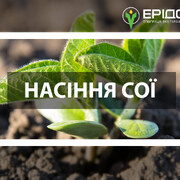 Асортимент високоякісного насіння сої від компанії «Ерідон»