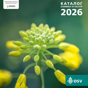Каталог озимих культур DSV 2026