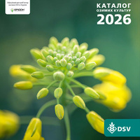 Каталог озимих культур DSV 2026