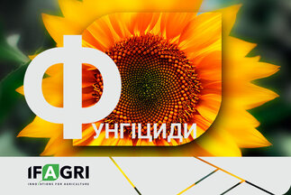 Фунгіциди від IFAGRI