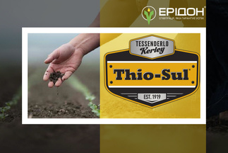 Thio-Sul<sup>®</sup> (Тіосульфат амонію від Tessenderlo Kerley) - нове слово у азотно-сірковому живленні польових культур