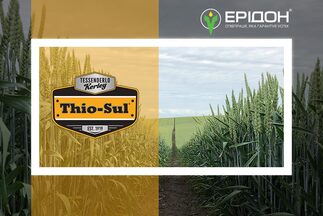 Thio-Sul<sup>®</sup> (розчин тіосульфату амонію) - рішення 3 в 1