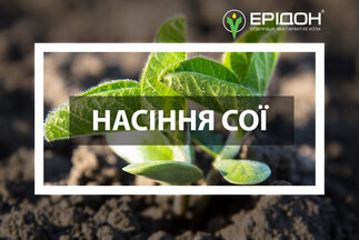 Асортимент високоякісного насіння сої від компанії «Ерідон»