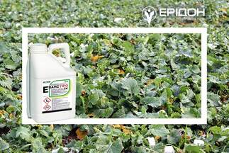 Інсектицид Еванс Про від IFAGRI – мікрокапсули на захисті вашого врожаю