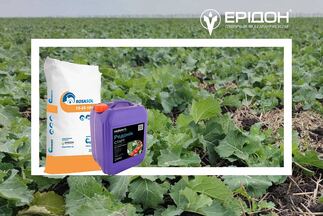 Старт після зими – технології стимуляції кореневої системи озимих культур