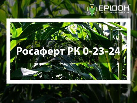 dobrivo-rosafert-pk-0-23-24-rosier.jpg