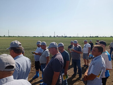 polovij-seminar-cropstage-u-tov-pkz-agro-2022-uchasniki.jpg