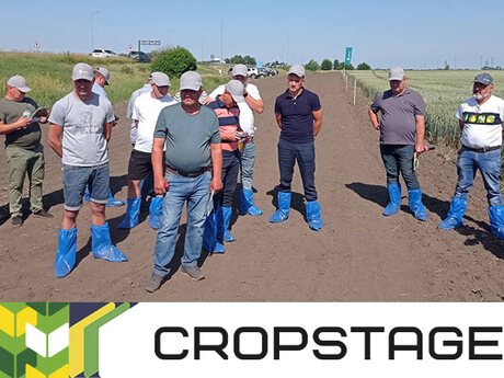 polovij-seminar-cropstage-u-tov-pkz-agro-2022.jpg