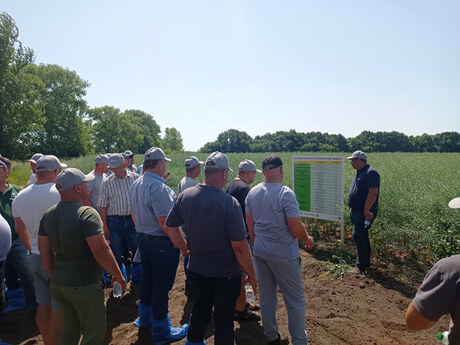 polovij-seminar-cropstage-u-tov-pkz-agro-kostyantin-krechun-pro-ripak.jpg