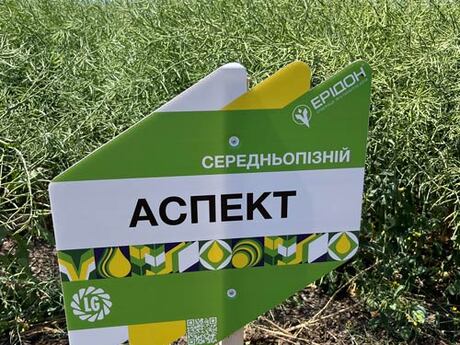 polovij-seminar-cropstage-u-tov-pkz-agro-ozimij-ripak-aspekt-limagrejn.jpg