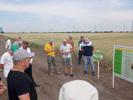 polovij-seminar-cropstage-u-tov-pkz-agro-prezentaciya-linijki-zernovih.jpg