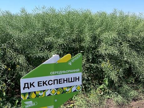 polovij-seminar-cropstage-u-tov-pkz-agro-ripak-dekalb-dk-ekspenshn.jpg