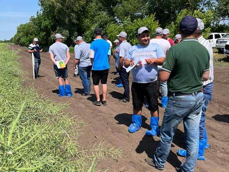 polovij-seminar-cropstage-u-tov-pkz-agro-ripak-obgovorennya.jpg