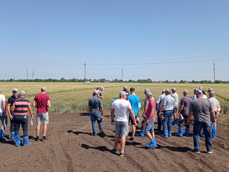 polovij-seminar-cropstage-u-tov-pkz-agro-uchasniki.jpg