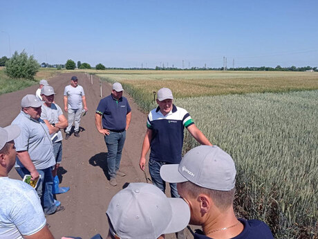 polovij-seminar-cropstage-u-tov-pkz-agro-yurij-fesenko-pro-pshenicyu-eridon.jpg