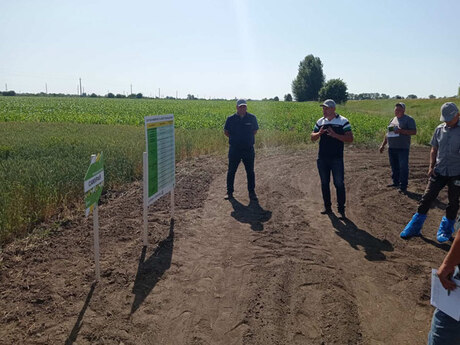 polovij-seminar-cropstage-u-tov-pkz-agro-yurij-fesenko-pro-pshenicyu.jpg