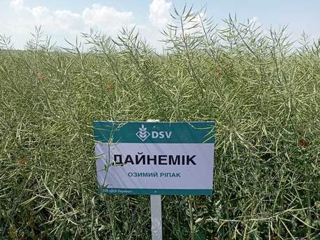 sarata-polovyi-seminar-eridon-ripak-dainemik-2023.jpg