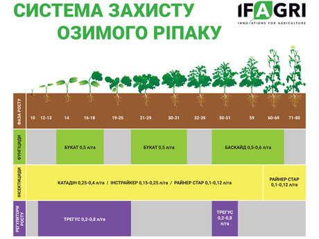 sarata-polovyi-seminar-eridon-ripak-ifagri-zzr.jpg