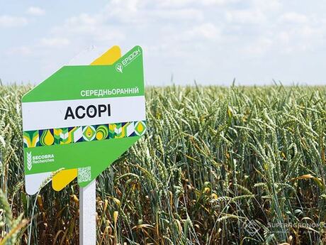 asori-cherkasy-cropstage-23.jpg