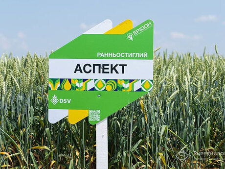 aspekt-cherkasy-cropstage-23.jpg