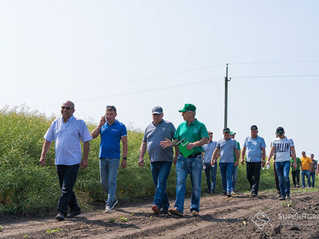 cropstage-2023-cherkashchyna-ohliad-dilianok-ripaku.jpg