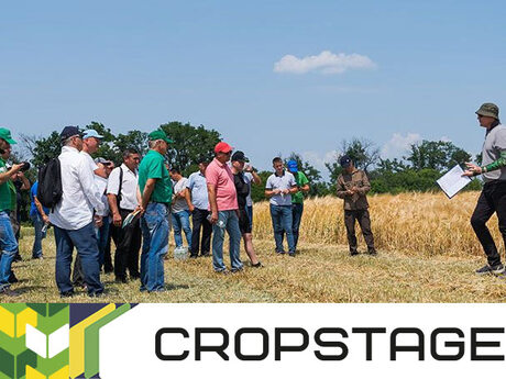 cropstage-2023-cherkashchyna-ripak-pshenytsia-i-yachmin.jpg