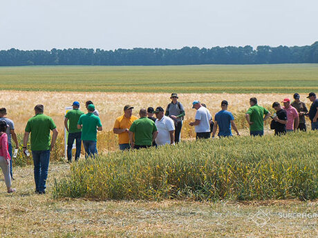 Eridon-cropstage-2023-Cherkashchyna-den-polia.jpg