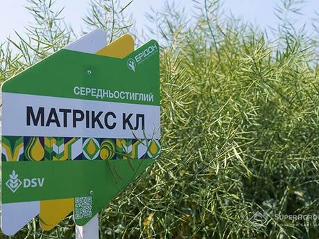 Matriks-KL-ripak-cropstage-2023-Cherkashchyna.jpg