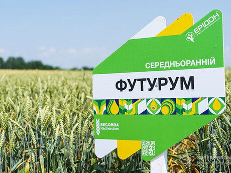 pshenytsia-futurum-cherkashchyna-cropstage-2023.jpg