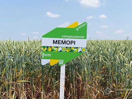 pshenytsia-memori-cropstage-2023-Cherkashchyna.jpg