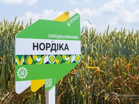 pshenytsia-nordika-cropstage-2023-Cherkashchyna.jpg