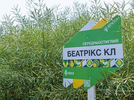 ripak-beatriks-kl-cropstage-2023-cherkashchyna.jpg