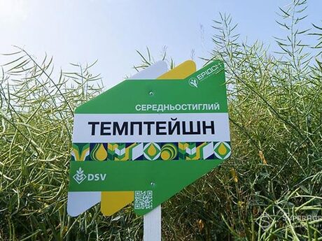 ripak-tempteishn-cropstage-2023-Cherkashchyna.jpg