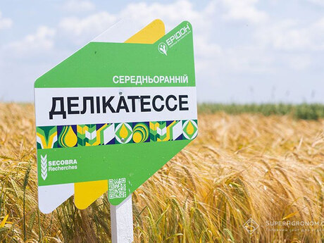 yachmin-delikatesse-cropstage-2023-cherkashchyna.jpg