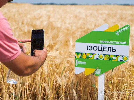 yachmin-izotsel-cherkashchyna-cropstage-2023.jpg