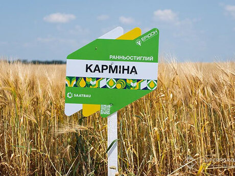 yachmin-karmina-cherkashchyna-cropstage-2023.jpg