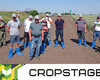 polovij-seminar-cropstage-u-tov-pkz-agro-2022.jpg