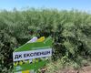 polovij-seminar-cropstage-u-tov-pkz-agro-ripak-dekalb-dk-ekspenshn.jpg