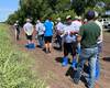 polovij-seminar-cropstage-u-tov-pkz-agro-ripak-obgovorennya.jpg
