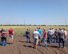 polovij-seminar-cropstage-u-tov-pkz-agro-uchasniki.jpg
