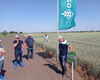 polovij-seminar-cropstage-u-tov-pkz-agro-yurij-fesenko-prezentuye-producent.jpg