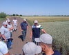 polovij-seminar-cropstage-u-tov-pkz-agro-yurij-fesenko-pro-pshenicyu-eridon.jpg