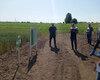 polovij-seminar-cropstage-u-tov-pkz-agro-yurij-fesenko-pro-pshenicyu.jpg