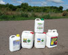cropstage-pkz-agro-obrobka-sonyashniku-ifagri-serpen-2022.jpg