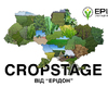 Cropstage2026.jpg