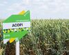 asori-cherkasy-cropstage-23.jpg