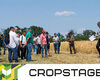 cropstage-2023-cherkashchyna-ripak-pshenytsia-i-yachmin.jpg