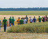 Eridon-cropstage-2023-Cherkashchyna-den-polia.jpg