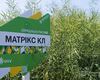 Matriks-KL-ripak-cropstage-2023-Cherkashchyna.jpg